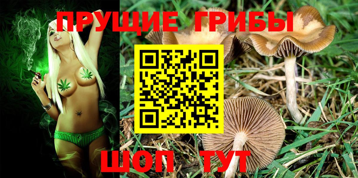 Галлюциногенные грибы прущие грибы Туймазы